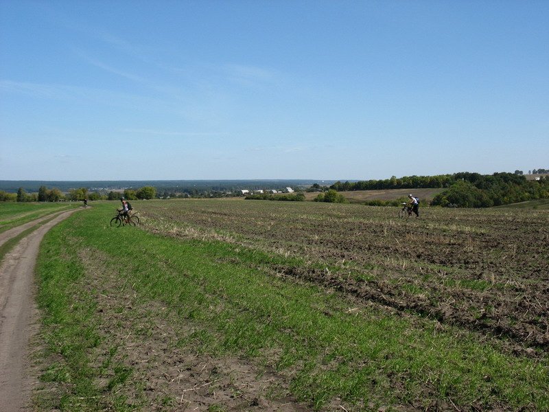 перпендикулярно дороге