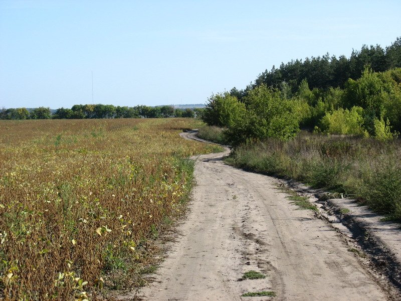 Спуск к КП5 (Борки)