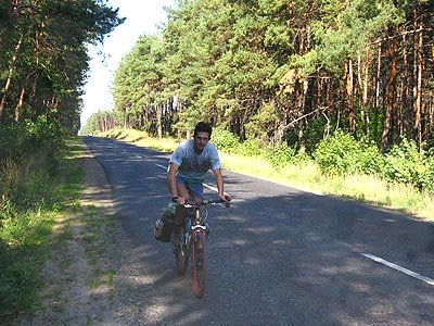 Дорога через лес в Задонецком